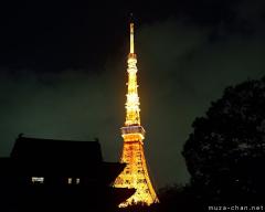 Nigth view over the Tokyo Tower and Zojo-ji
