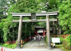 Shinto Shrines, Chinju no mori