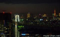 Night view from Daikanransha Ferris Wheel