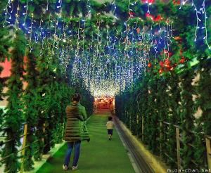 Tokyo Tower's tunnel of light, and wishes for the next year