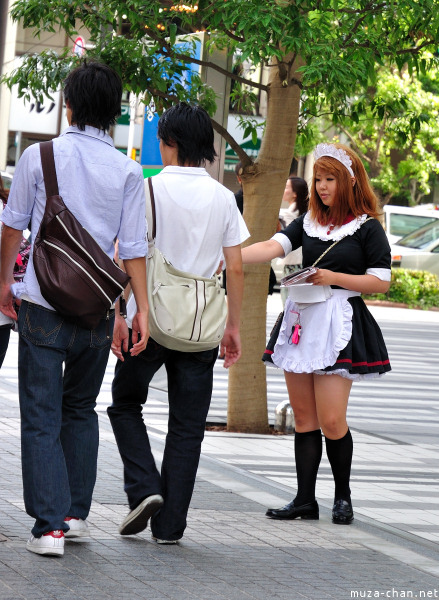 Akihabara maid