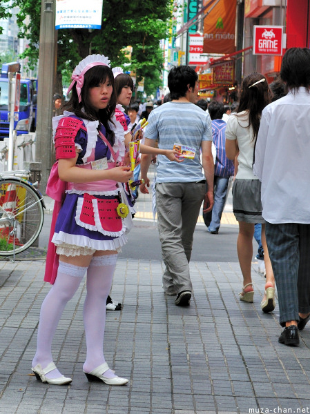 Akihabara maid