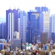 Shinjuku high-rise, view from Sunshine City