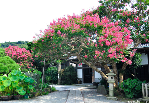 Kamakura Hongaku-ji Temple