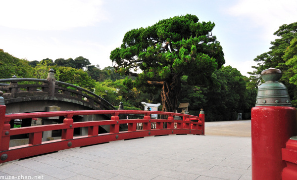 Tsurugaoka_Hachimangu Shrine Kamakura