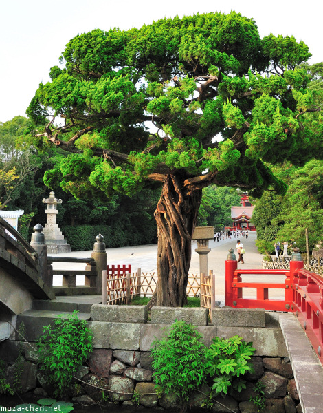 Tsurugaoka_Hachimangu Shrine Kamakura