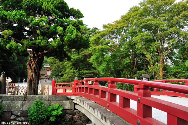 Tsurugaoka_Hachimangu Shrine Kamakura