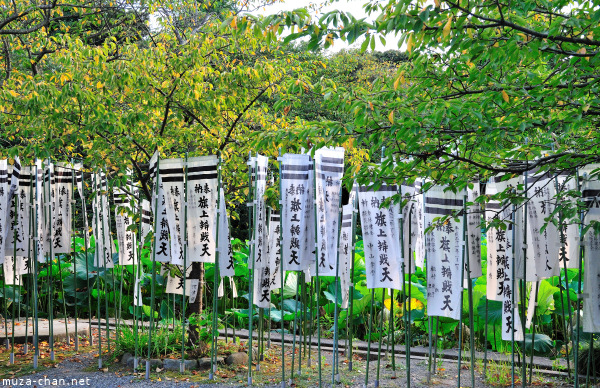 Tsurugaoka_Hachimangu Shrine Kamakura