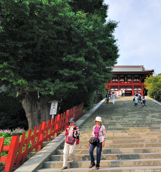 Tsurugaoka Hachimangu Shrine Kamakura