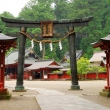 Torii at Futarasan Shrine