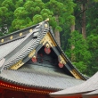 Roof at Futarasan Shrine