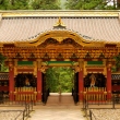  Yashamon Gate at Mausoleum Rinno-ji Taiyuin