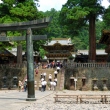 Karadou Torii in front of the Yomeimon Gate at Toshougu Shrine
