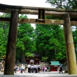 toshogu-shrine-nikko-09.jpg