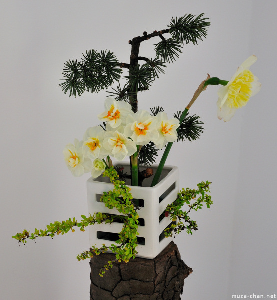 bucharest-botanical-garden-ikebana-21.jpg