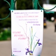 Ikebana expo at Bucharest Botanical Garden 