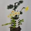 bucharest-botanical-garden-ikebana-21.jpg
