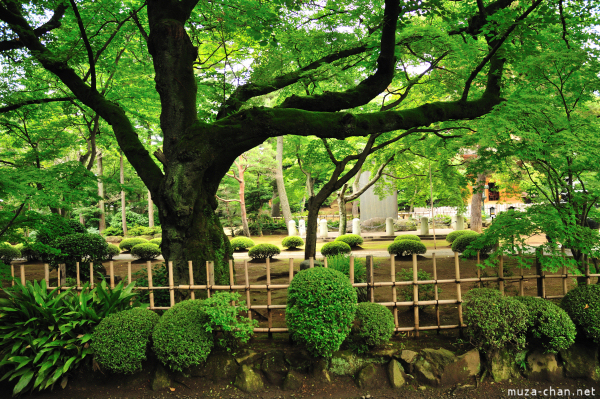 gotoku-ji-temple-garden.jpg