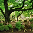 Gotokuji Temple Garden