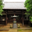 Maneki Neko Beckoning Cat Temple