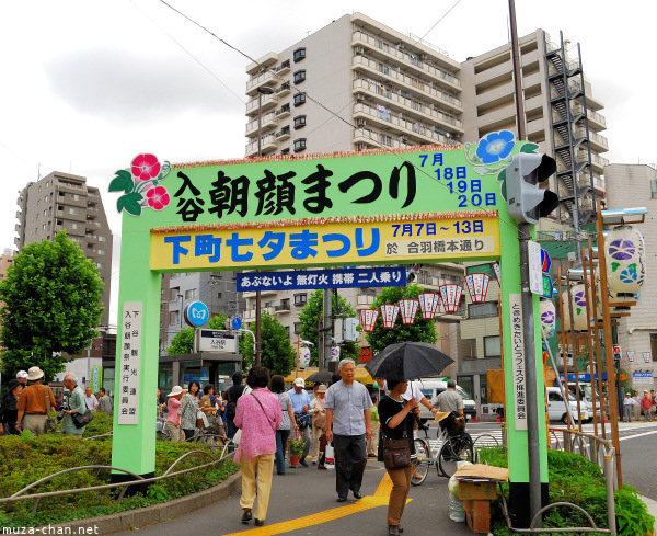 Iriya Asagao Ichi (Morning Glory Fair)