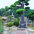 Tokugawa shogun cemetery